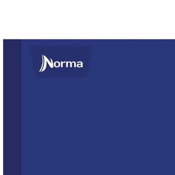 CUADERNO ITAL. COLOR NORMA 581295 RAYA COS. 100H. C50